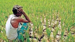 Problems of farmers under corrupted Politicians | They are only Vote bank